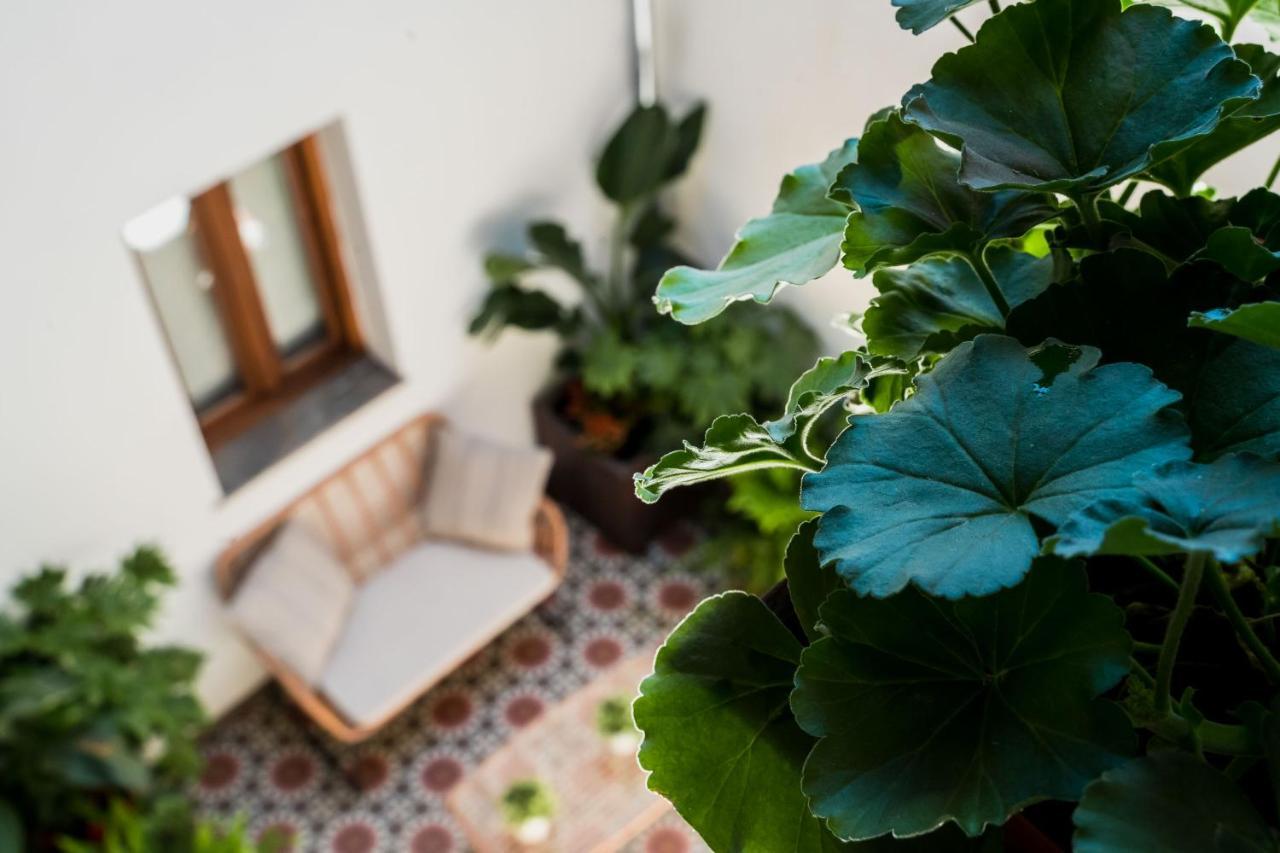 Apartmán Ibericabeds Albaicin Granada Exteriér fotografie
